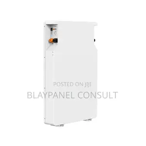 Srne 100ah 51.2v Lithium Battery