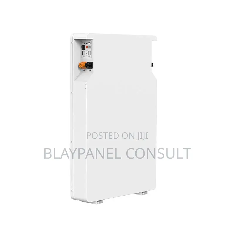 Srne 100ah 51.2v Lithium Battery