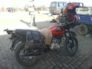 Professional Dispatch Rider With Valid License