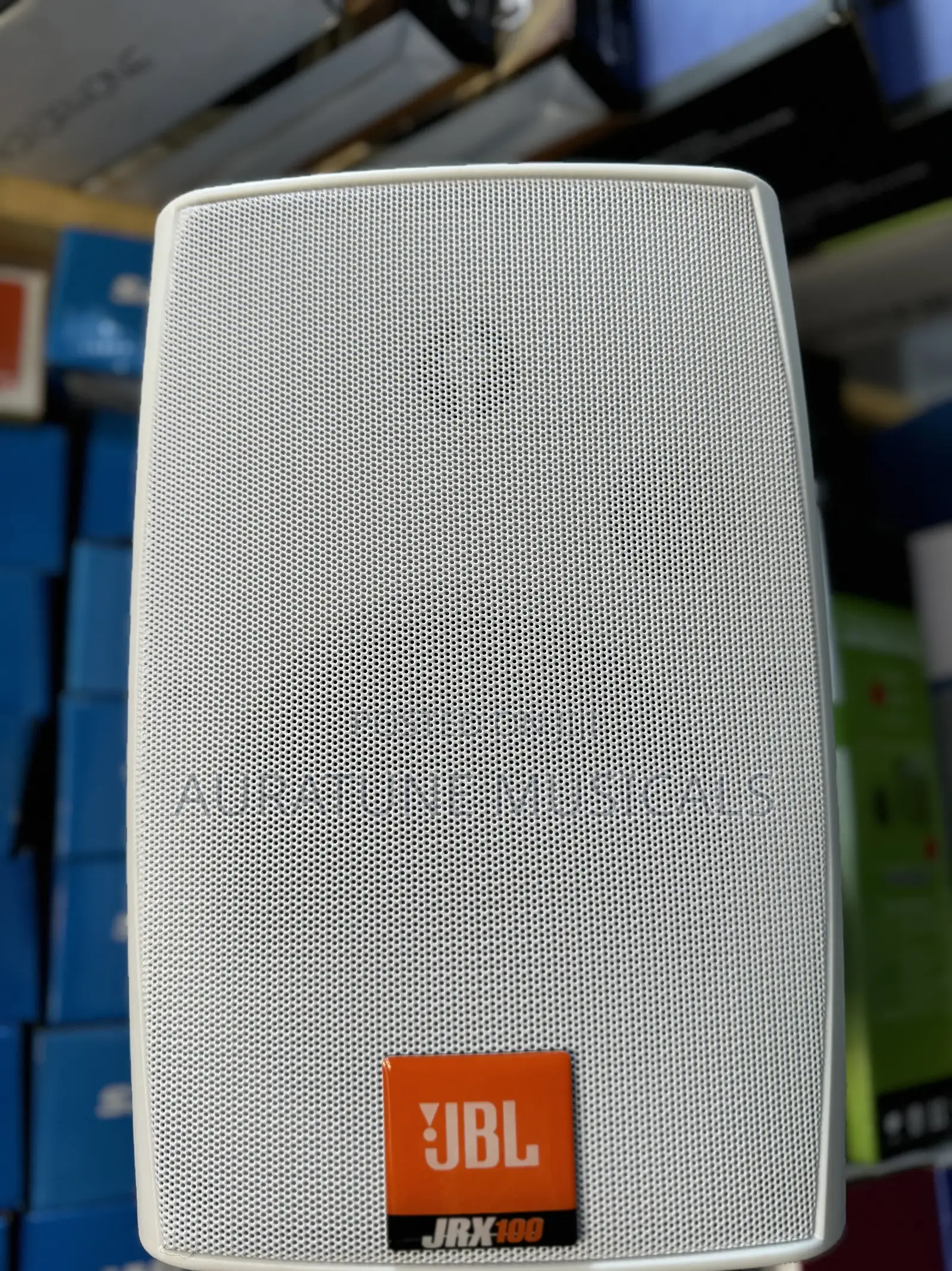 JBL Wall Mouth Speak