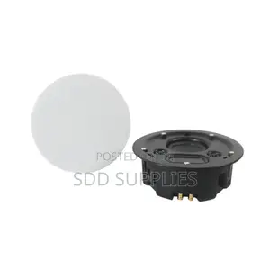 Passive Super Bass Ceiling Speaker Dual Tweeter Radiator