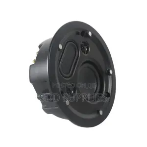 Passive Super Bass Ceiling Speaker Dual Tweeter Radiator