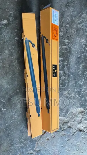 Rav4 2018 Boot Shocks