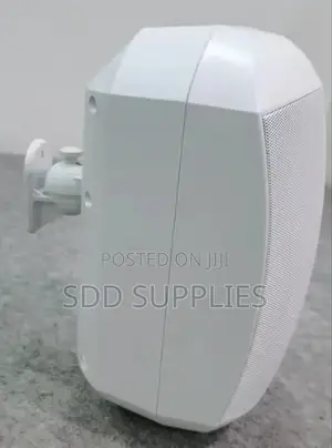 High Performance Wall Speaker Available