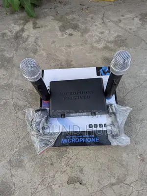 Professional Wireless Microphone