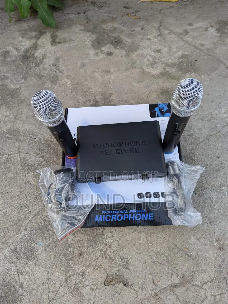Professional Wireless Microphone