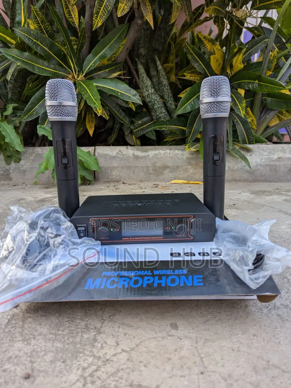 Professional Wireless Microphone