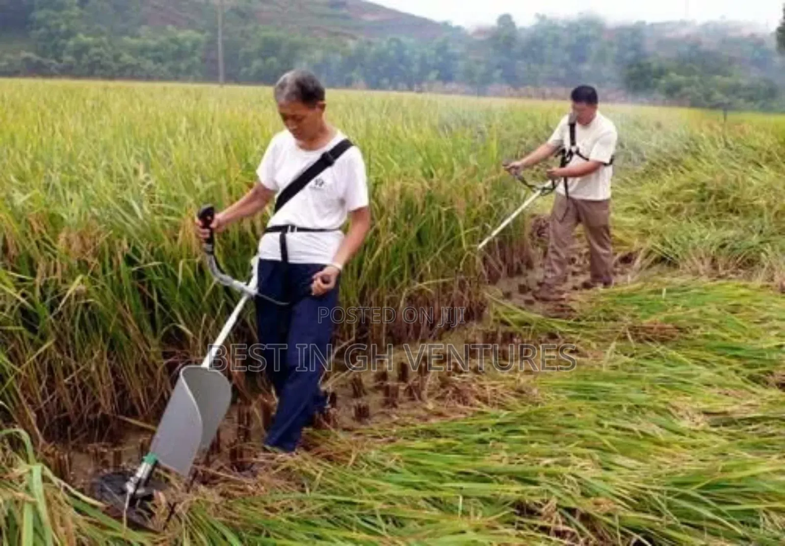 Brush Cutter Paddy/Rice/Wheat Harvester/Grass Assembler