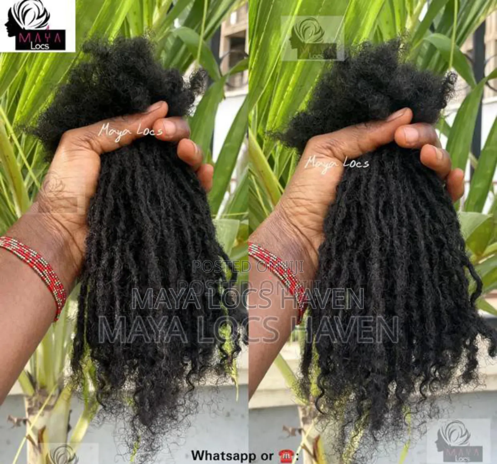 Lisa Bonet Locs With Curly Ends (100% Human Hair Maya Locs)