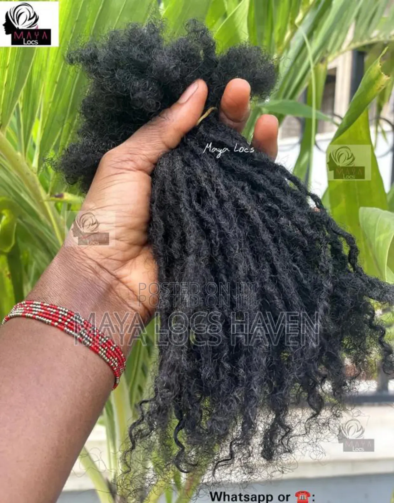 Lisa Bonet Locs With Curly Ends (100% Human Hair Maya Locs)