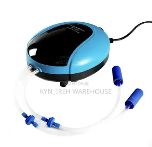 Silent Double Air Pump
