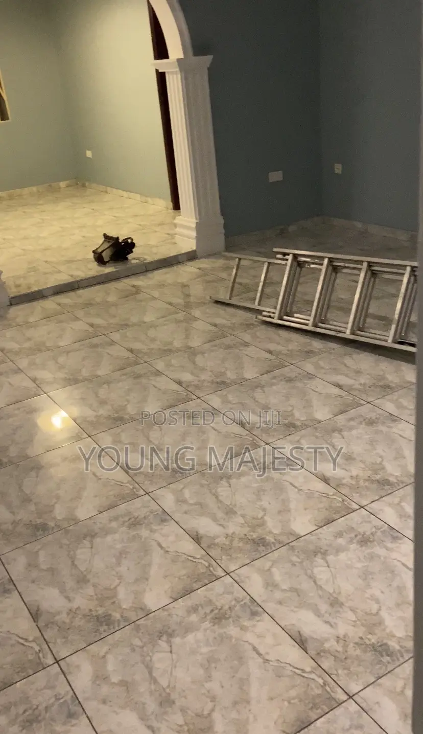General Cleaning(Sofa,Bed and Carpet Cleaning)