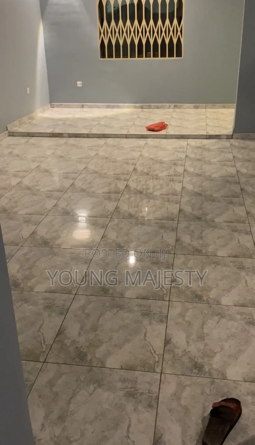 General Cleaning(Sofa,Bed and Carpet Cleaning)