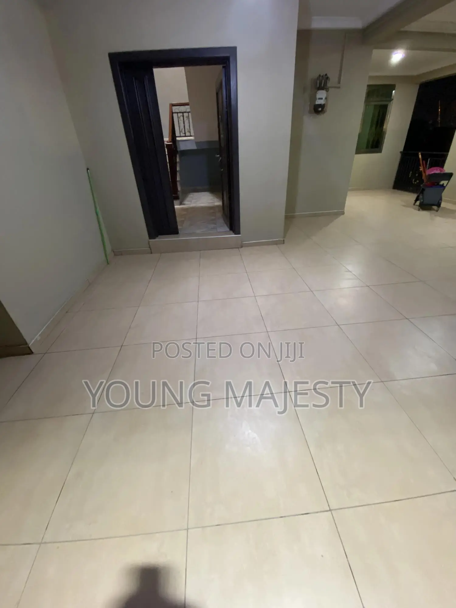 General Cleaning(Sofa,Bed and Carpet Cleaning)