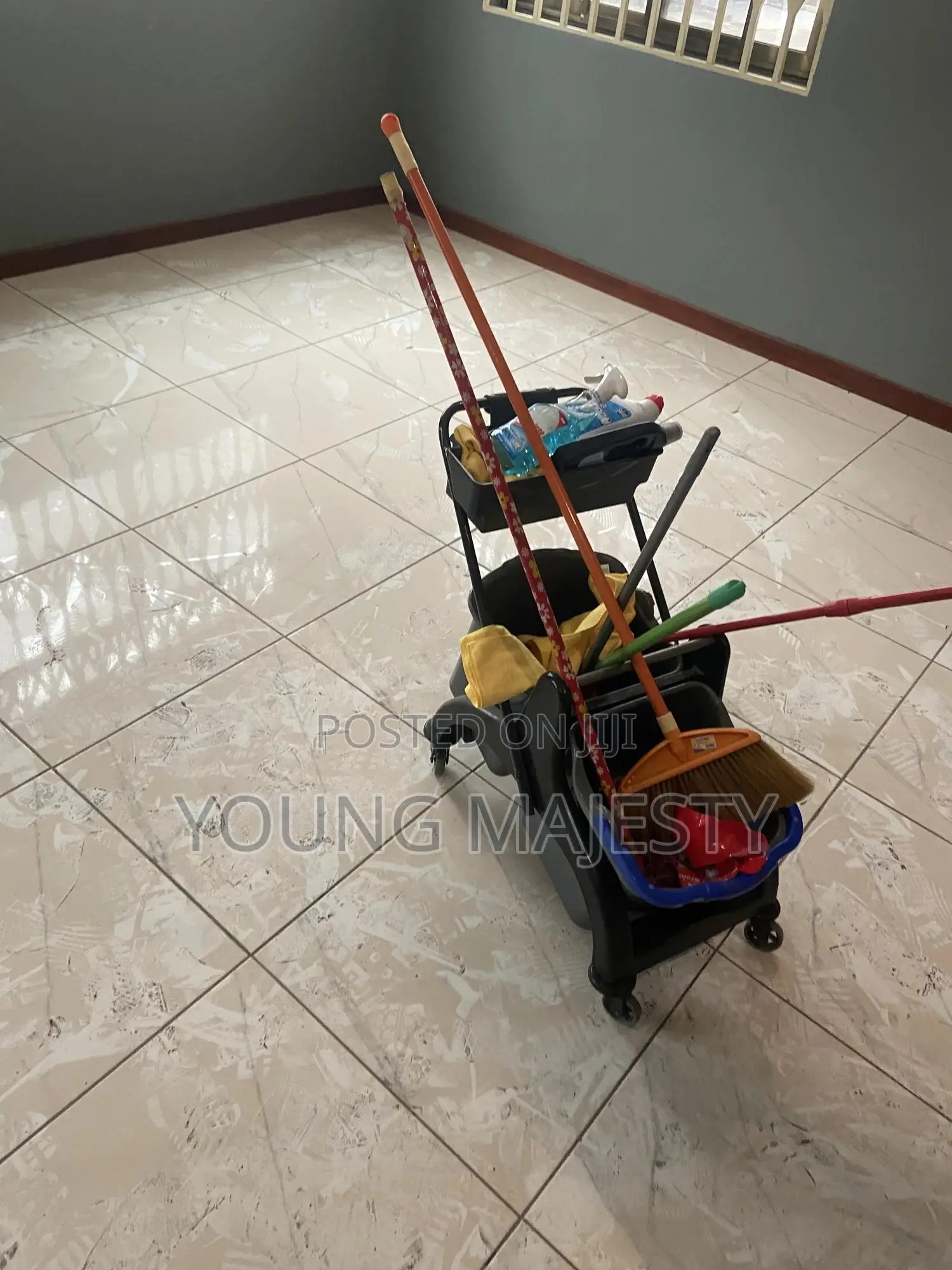 General Cleaning(Sofa,Bed and Carpet Cleaning)