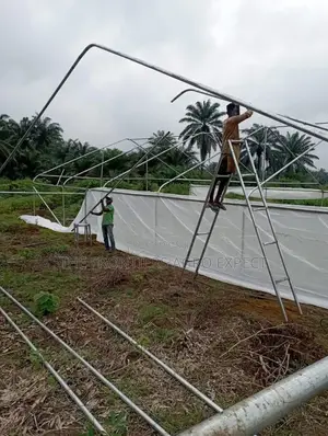 Vegetables Greenhouse