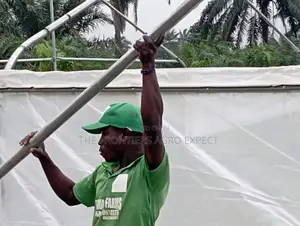 Vegetables Greenhouse