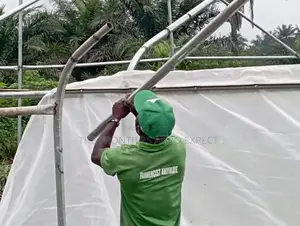 Vegetables Greenhouse