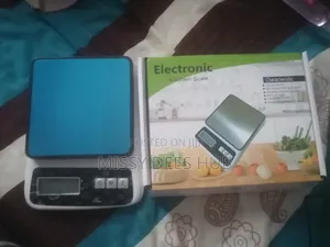 Stainless Steel Electronic Kitchen Scale