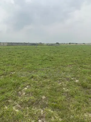 Contact the Right Land Plug.