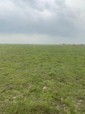 Contact the Right Land Plug.