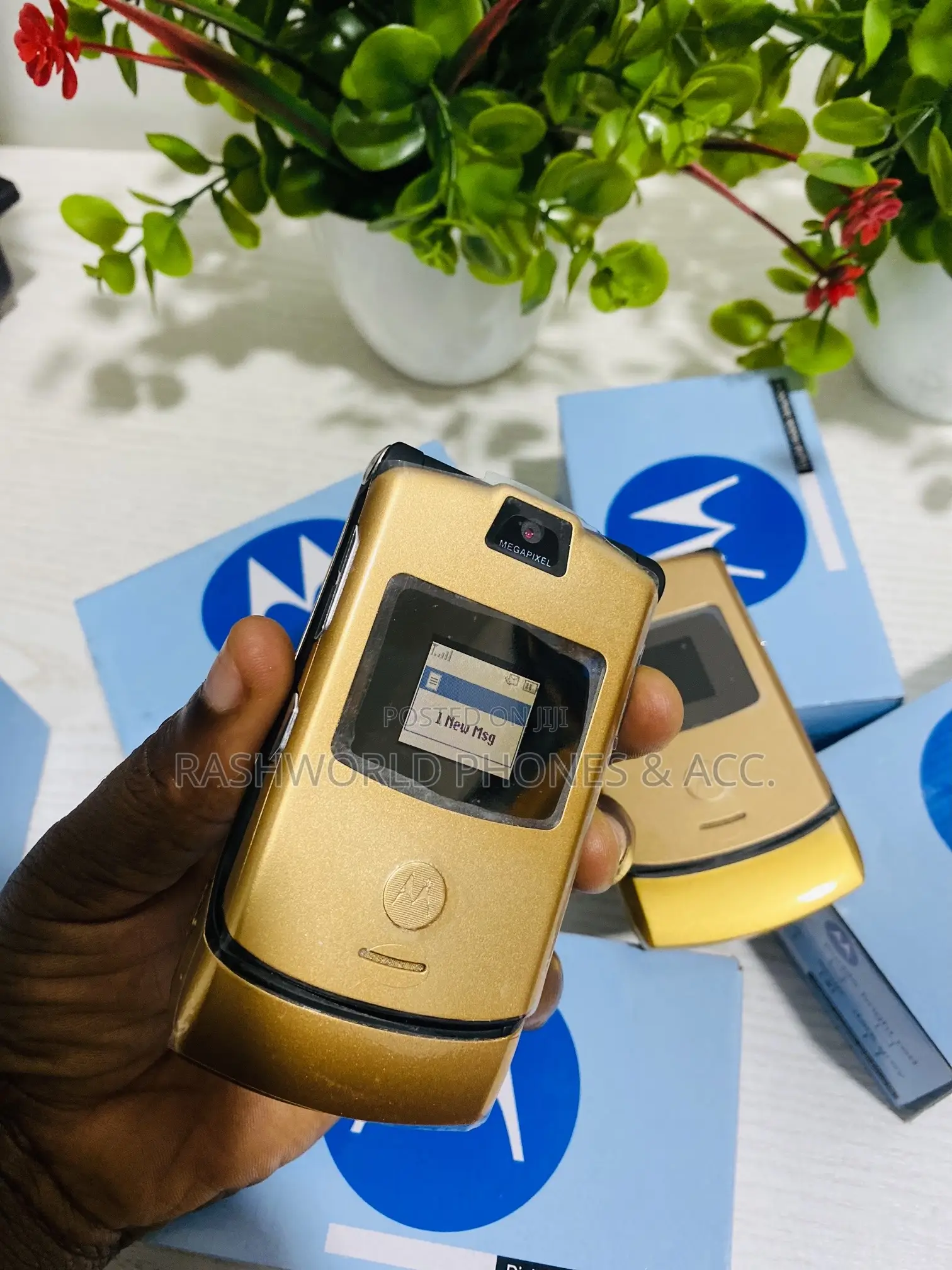 New Motorola RAZR V3 Gold