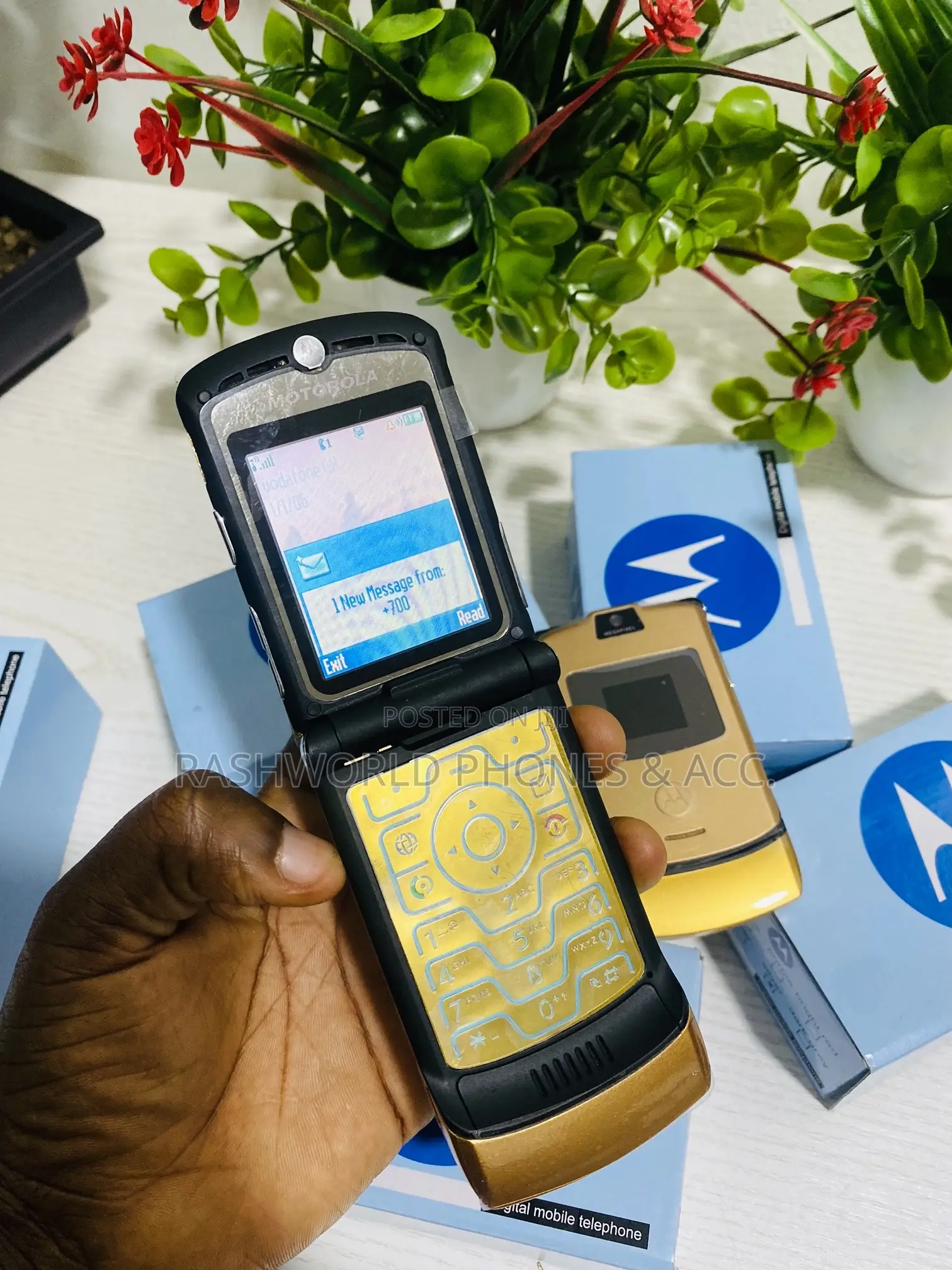 New Motorola RAZR V3 Gold