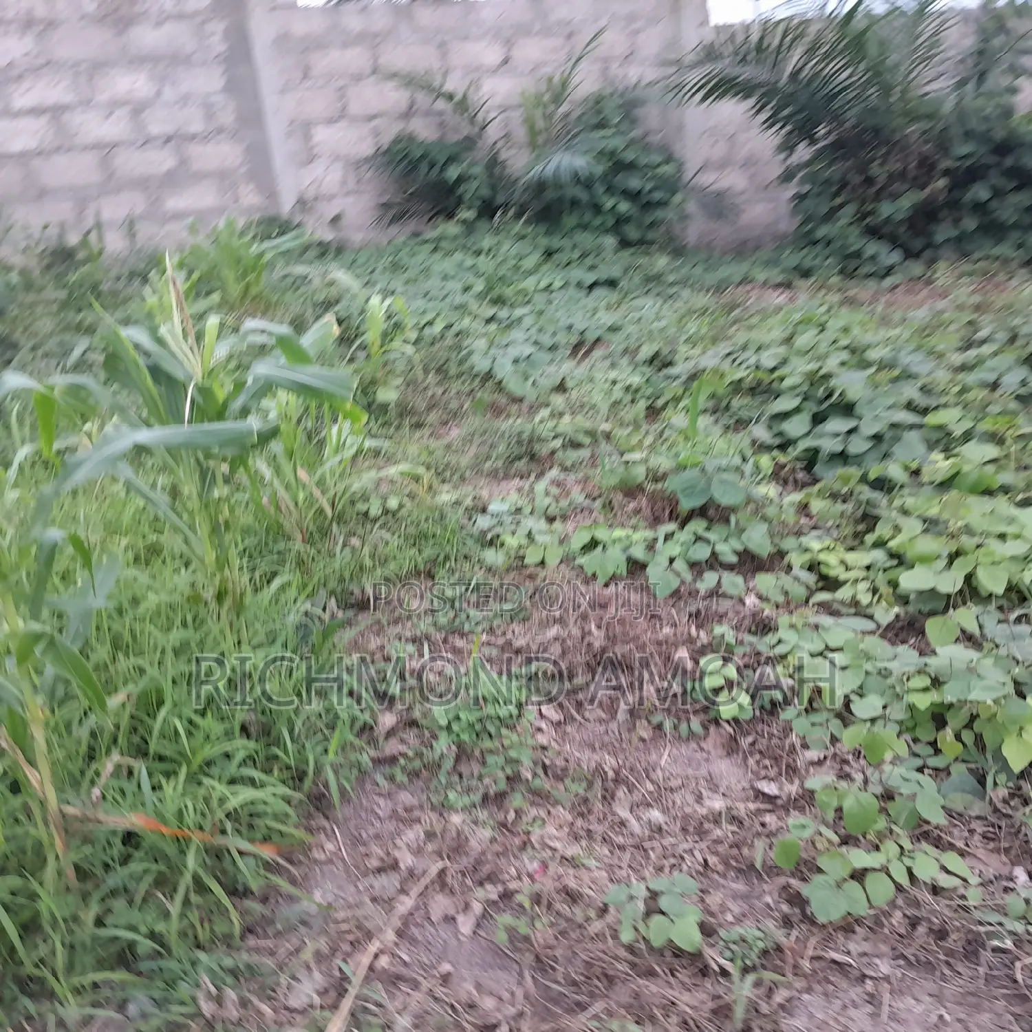 Half Plot for Sale at Assekea New Jersey
