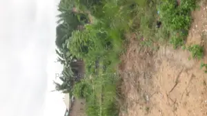 2 Plots of Land for Sale at Manhean Tigo Pole