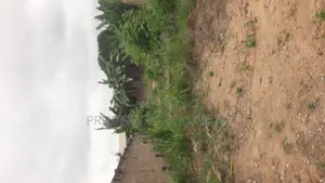 2 Plots of Land for Sale at Manhean Tigo Pole