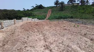 CAPE -TADI ROAD - ELMINA, C/R - 1.92 Acres Commercial Land