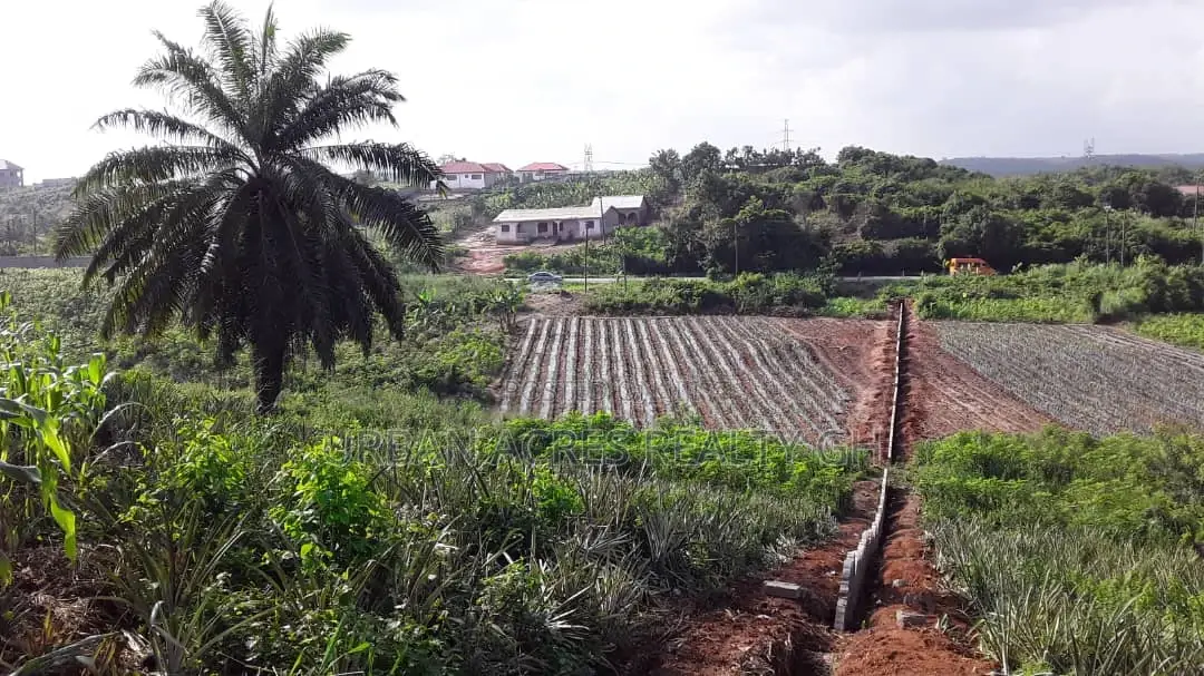CAPE -TADI ROAD - ELMINA, C/R - 1.92 Acres Commercial Land