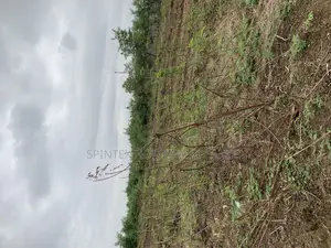 Plot for at Jubile Gate In, Size 70/100