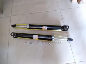 Hyundai Elantra 2008 Back Shock Absorber Pair