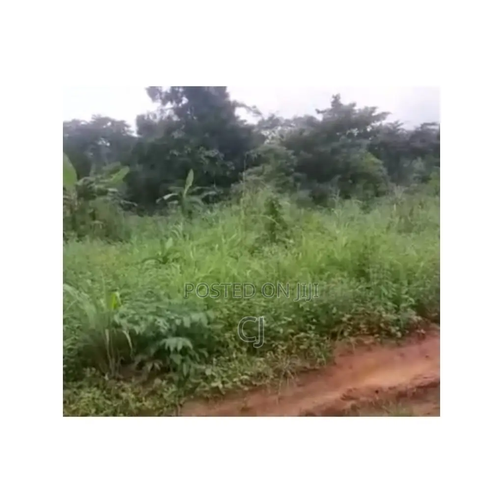 2 Arces of Land for Rent