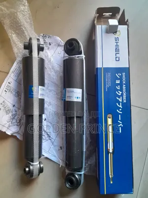 Hyundai Elantra 2012-2013 Back Shocks