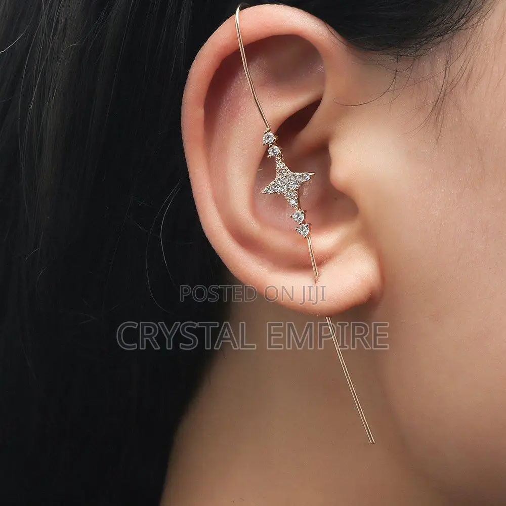 Ear Climbers Earrings
