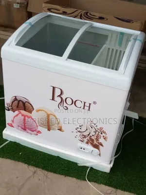 ROCH Ice Cream/ Display Freezer 258 Litres