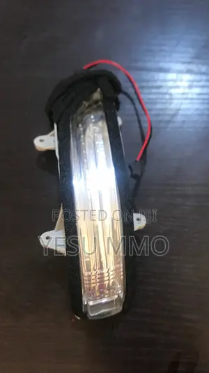 Land Cruiser Prado 2012 Mirror Light Pair