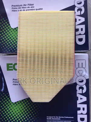 Chrysler 300 Dodge Charger 2011-2023 Air Filter From Usa