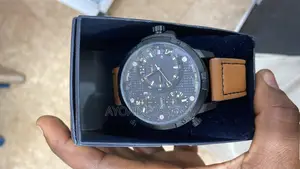Stauer Traveler Watch 3 Different World Time Setting