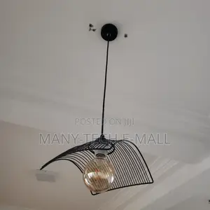 Black Single Pendant/ Hanging Lights