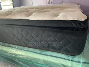Sealy Platinum Elegance Beds(Queen) 60/80 15inches