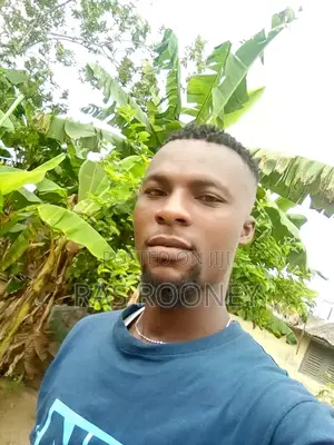 Manual Labour CV