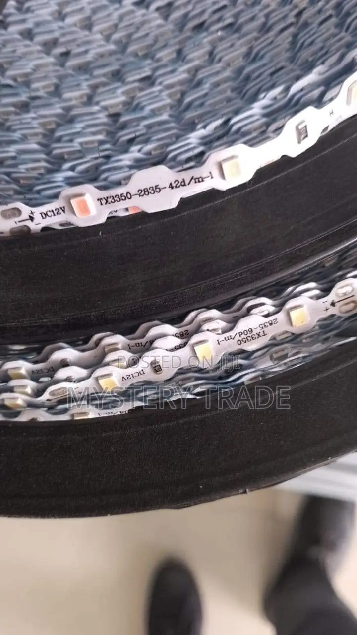 Rope Light Strip Light