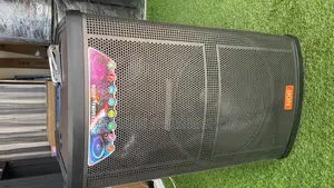 15” Rechargeable Speaker(NDR)
