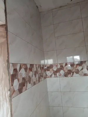 Professional Tiler