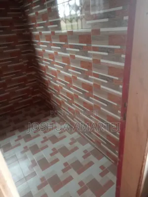 Professional Tiler