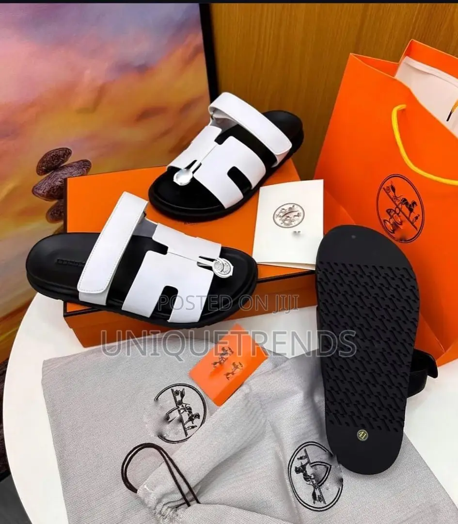Original Hermes Slides