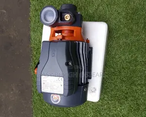 Silent LEO Quality and Affordable Price 1.0kw Leo Water Pump